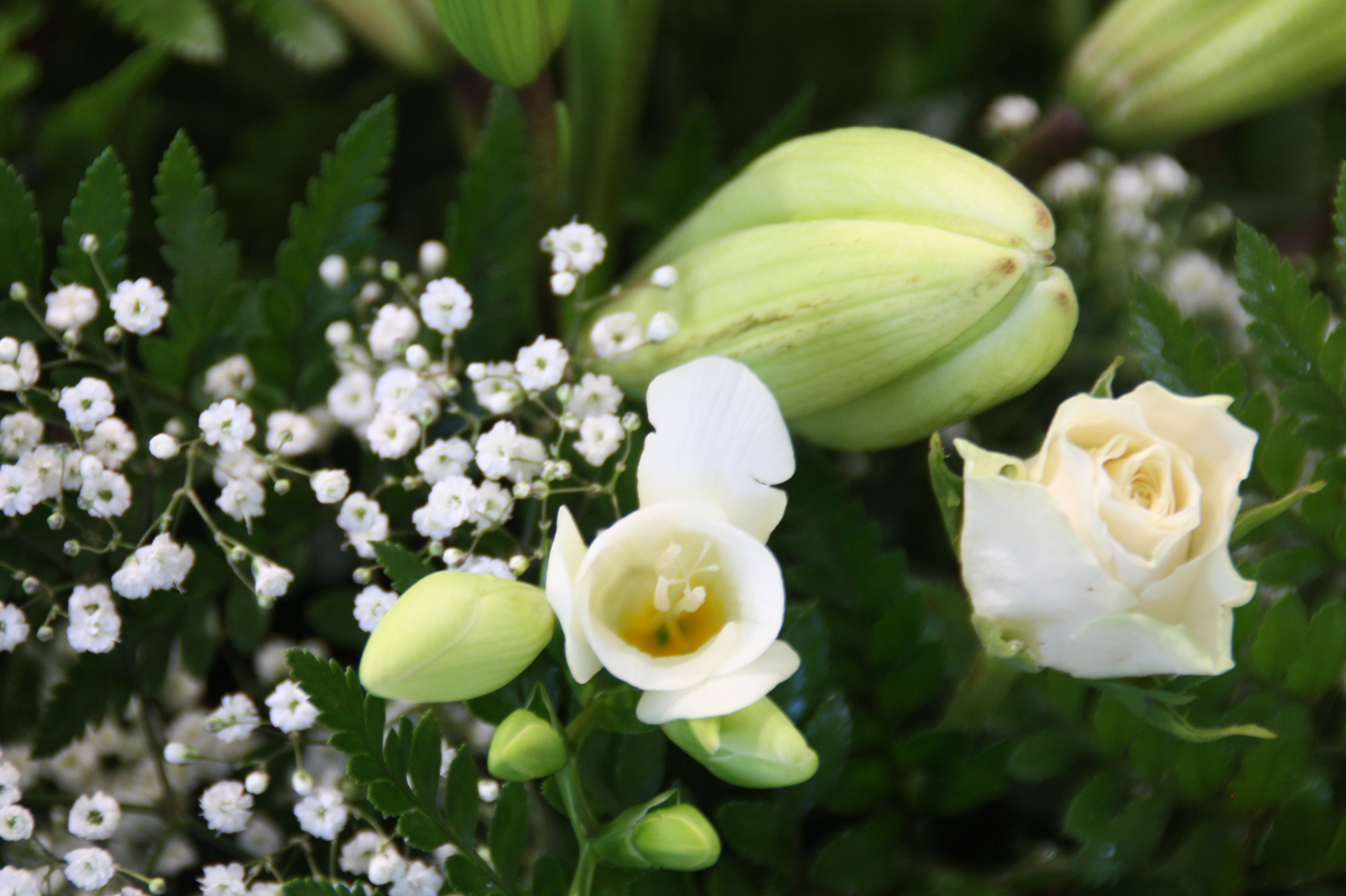 rouwstuk roos- lelie- freesia wit